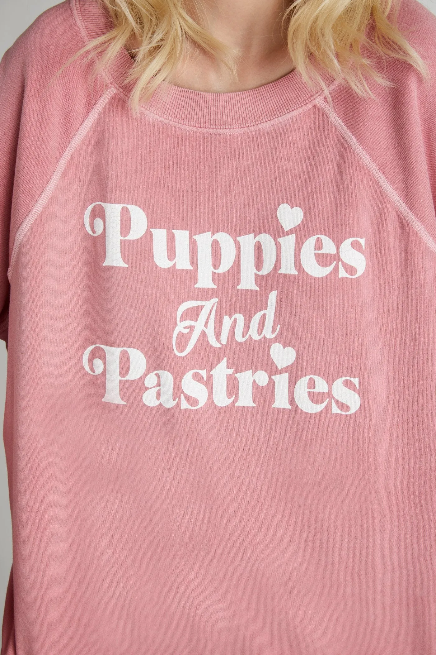 WILDFOX Puppies and Pastries Sommers Sweatshirt